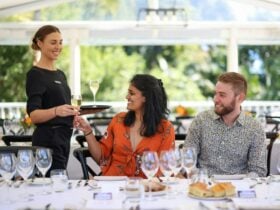 Dining experiences