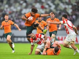 Wallabies v Japan