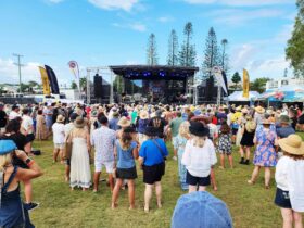 Festivial crowd