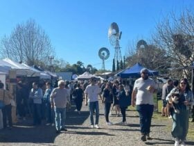 Toowoomba Farmers Market is on each Saturday morning.