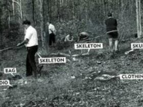 A black and white photo of men searching bushland, with locations labelled 'skeleton', 'clothing'