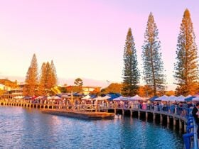 Twilight Makers Market - Evening