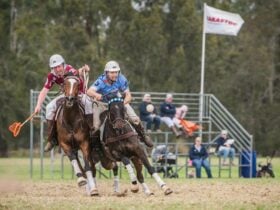 Warwick Polocrosse Club Barastoc Interstate Carnival