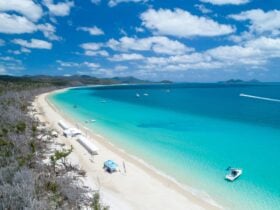 aerial view of Whitehaven Long Lunch