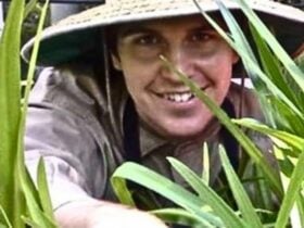 World Environment Day