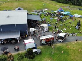 Terella Brewing
