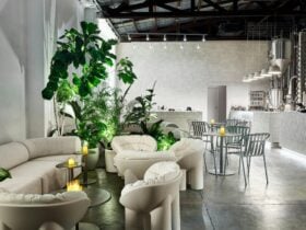 Cafe and bar seating area