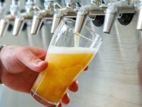 Glass of beer being poured from beer taps