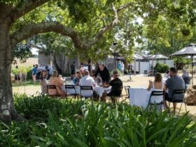 People seated outside under the trees