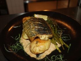Pan seared Barra served with cauli puree, garlic mash potato's charred broccolini, and lemon butter