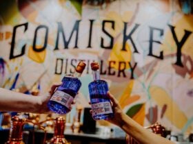 500ml Bottle of Gin to take home