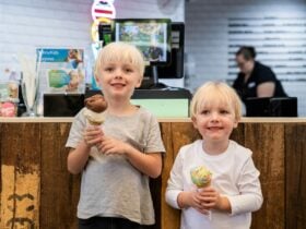 Single and double scoop