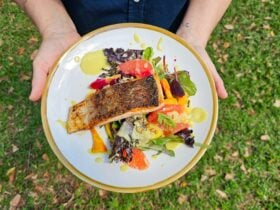 Salmon served on a fresh bed of salad.