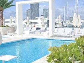 Waterfront atmosphere at La Luna Beach Club with sun lounges, umbrellas and harbour views