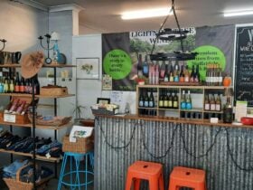 Visit Lightning Tree Wines Cellar Door in Goomeri