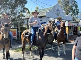 Several horse riders holding takeaway coffees, gathered outside the Linville Store & CafÃ©