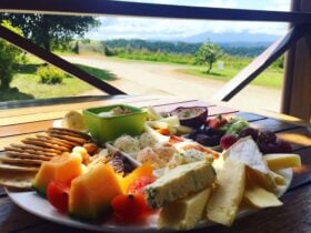 Mungalli Creek Dairy Cheeseplatter