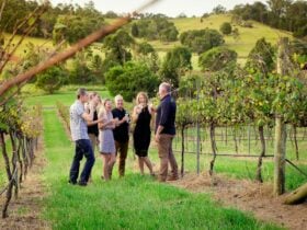 Tour the vineyard and winery with one of our winemaking teams