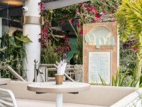 Opa Bar + Mezze