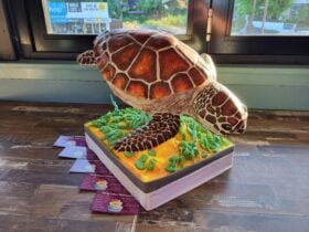 Turtle Cake
