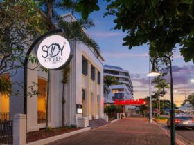 Soy Kitchen Street Food