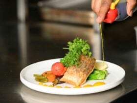 Salmon and vegetables on a plate