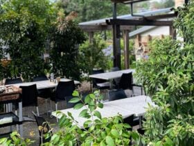 Seating area in the garden