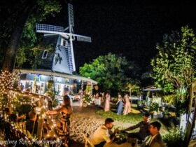 The Windmill lit up for an evening function
