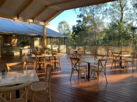 The deck