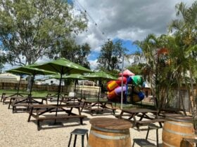 Our playground and new beer garden