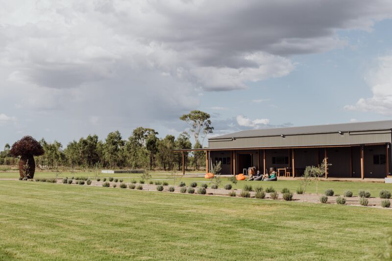 Grab a picnic blanket or beanbag and relax under the western skies