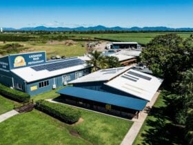 Aerial photo of restaurant buildings and local nature