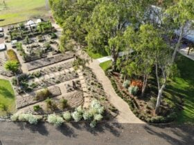 Birdseye View of our Market Gardens