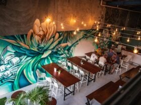 Young Giants Brewing taproom glows with @Soflesâ vibrant mural, where art meets craft beer.