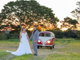 Bridal couple sunset Maleny wedding Malenyweddingphotography