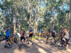 RATS Cycling Club - Social Ride