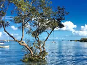 Macleay Island