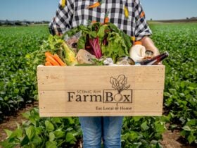 Scenic Rim Farm Box Delivery Service