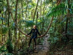 Escape To Tamborine Mountain