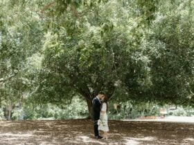 tree elopement photos