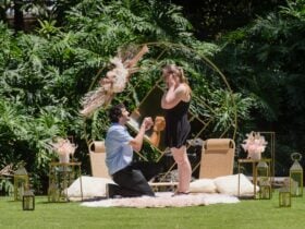 Proposal Picnic Brisbane City