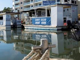 BBQ boats and office