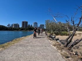 Family riding e-Bikes Mooloolaba Spit Rock Wall
