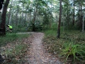 Riding a switchback onParklands MTB trail