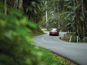 Vehicle driving along a tropical road surrounded by lush greenery