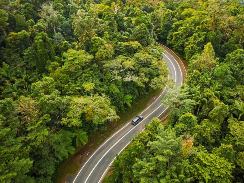 ToA vehicle travels along a quiet, bush-lined road surrounded by dense grurism and Events Queensland