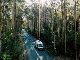 Campervan Rental- North Queensland