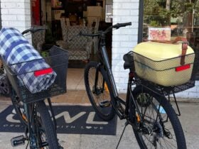 Bike Hire and Picnics
