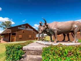 Bullocky statutue Wondai Visitor Information Centre