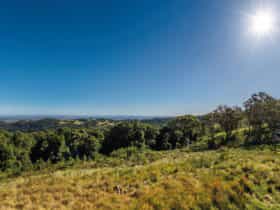 View, Bunya Mountains National Park